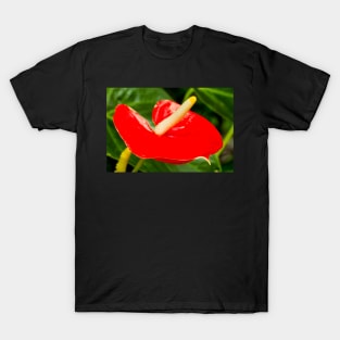 Anthurium T-Shirt